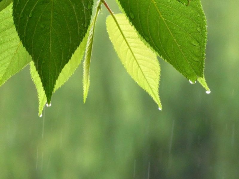 雨の日の外壁塗装、やってはいけないこととは？施工中に注意すべきポイント