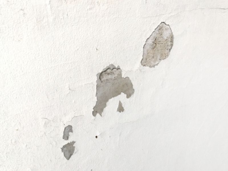 外壁の塗装が剥がれてきたら？知っておきたい主な原因と、大切なお住まいを守るための適切な対処法